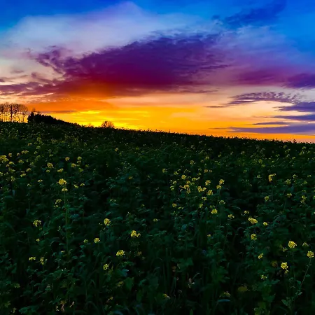 Kraftplatz * Waldzell