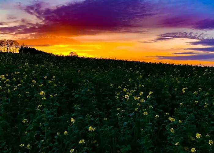 Kraftplatz * Waldzell